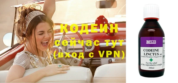 Альфа ПВП Лагань