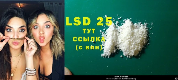 сатива Лабытнанги