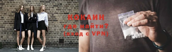 Альфа ПВП Лагань