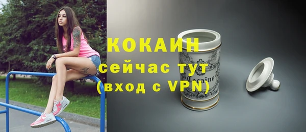 Альфа ПВП Лагань