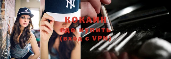 сатива Лабытнанги