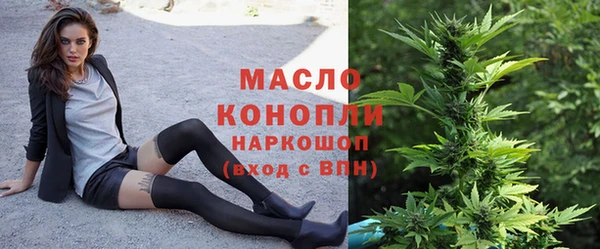 сатива Лабытнанги