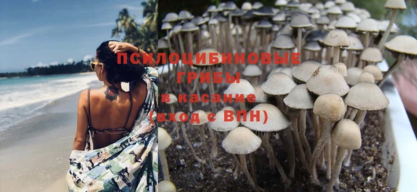 apvp Ладушкин