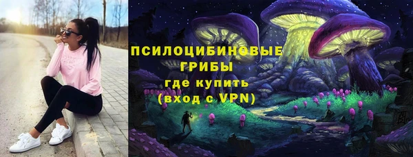 apvp Ладушкин