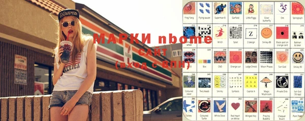 сатива Лабытнанги