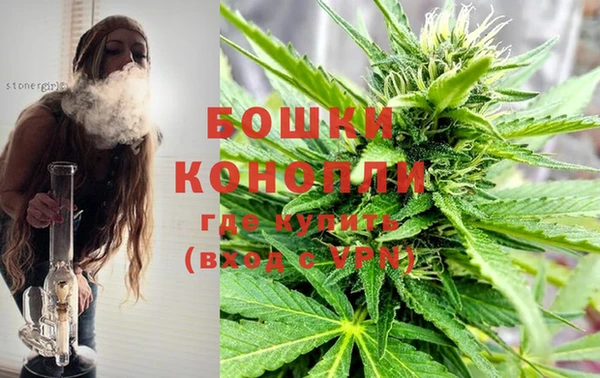 Альфа ПВП Лагань