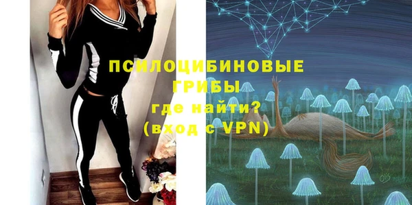 apvp Ладушкин