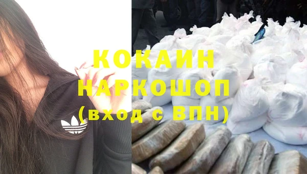 сатива Лабытнанги