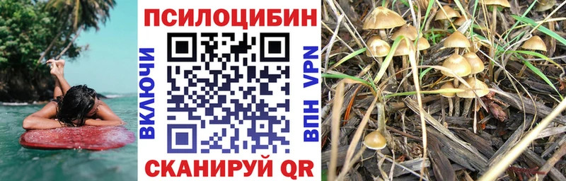 Купить закладки Малгобек Псилоцибиновые грибы MAGIC MUSHROOMS